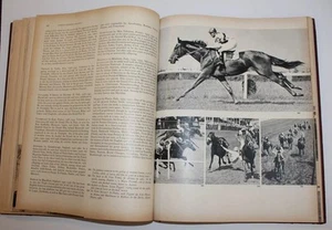 Pferde und Horsemanship im Wandel der Zeit von Luigi Gianoli HC 1969 - Bild 1 von 12