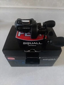 Penn Squall SQL300LPLH Low Profile Baitcasting Fishing Reel. New in box. LH - Picture 1 of 17