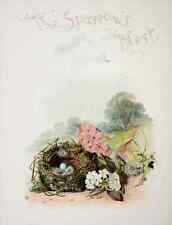 A4 Print Rosebuds Holly Berries 1888 6