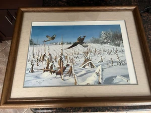 David Maass Druck: "A TOUCH OF WINTER- PHEASANTS" Prof gerahmt und mattiert 35X27 - Bild 1 von 5