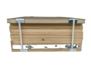 Dadant US 12er Beute als Bausatz, Trennschied, Weymouthskiefer, Imkereibedarf - Bild 1 von 3