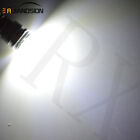 White/Warm White E10 Cob 2W Led Screw Fit Torch Light Flashlight Bulb Dc 6V 12V