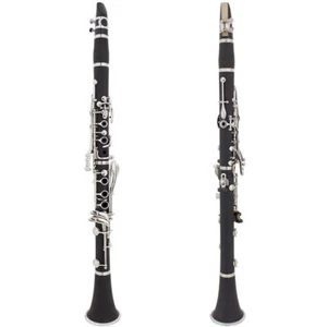 High-quality Clarinet Instrument 17 Keys Ebonite Clarinet with Accessories - New - Picture 1 of 9