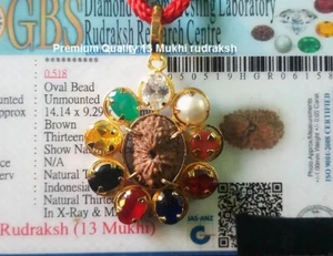 13 Mukhi Rudraksh/Thirteen Face Rudraksha -Java Bead Navratan Pendant- Certified - Picture 1 of 3
