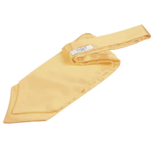 Pale Yellow Mens Self-Tie Cravat Satin Plain Solid Casual Formal Wedding by DQT - Picture 1 of 1