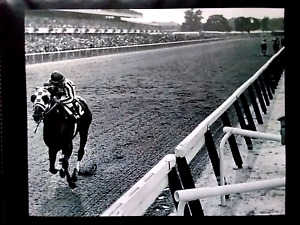 SECRETARIAT 31 lengths UPGRADE 8 x 10 BELMONT STAKES AHEAD OF THE  PACK ~ PHOTO