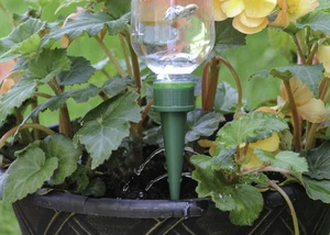 Self Watering | Water Wizard™ x 3 | Bottle Water Drip Irrigation for the Garden - Picture 1 of 3