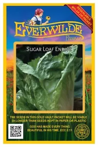 1000 Sugar Loaf Endive Seeds - Everwilde Farms Mylar Seed Packet - Picture 1 of 3