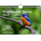 Zaczarowanie ptaków Europa DIN A5 Kalendarz ścienny na 2025 Ptak - Czarodziej duszy