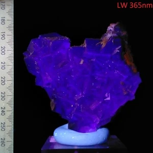Fluorescent Fluorite crystal cluster w/ Dogtooth Calcite long wave mineral 988ct - Picture 1 of 9