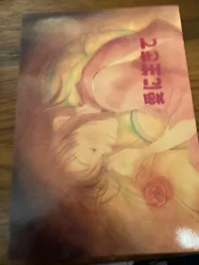 Studio Ghibli Spirited Away Doujinshi - Haku and Chihiro - Manga Book Poster DVD - Picture 1 of 2
