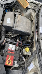 MOTOR Fiat Panda (169) Hatchback 1.1 Fire (187.A.1000) 71751087 - Bild 1 von 5