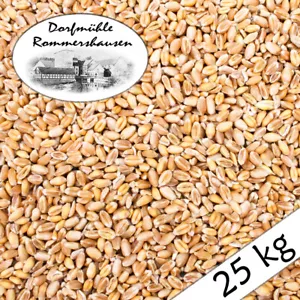 (0,94€/1kg) 25 kg Weizen Gereinigt Hühnerfutter Geflügelfutter Futterweizen Voge - Bild 1 von 2