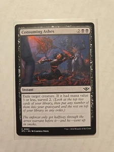 Consuming Ashes - Outlaws Of Thunder Junction - LP - Common - Instant - MTG - Picture 1 of 1