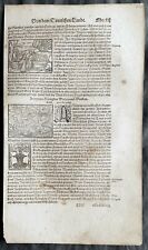 1598 Munster Antique Print of Antyrus, king of the Goths, Southern Scandinavia