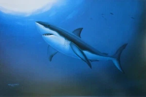 Wyland Studios GREAT WHITE shark 1992 vintage art print Nature Ocean sharks Art - Picture 1 of 3