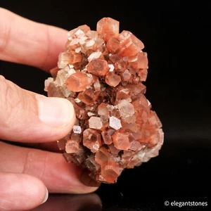 119g Natural Aragonite Cluster Crystal Mineral Specimen Display From Morocco - Picture 1 of 10