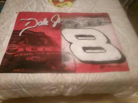DALE EARNHEART JR  FLAG Cover