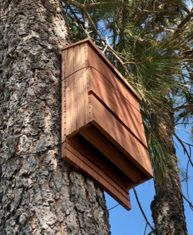 Nueva casa de murciélagos al aire libre, madera de cedro natural, 2 cámaras casa jardín árbol Foto 1 de 4