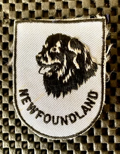 NEWFOUNDLAND DOG EMBROIDERED SEW ON PATCH DOG BREED 2" x 2 1/2" NOS - Picture 1 of 2
