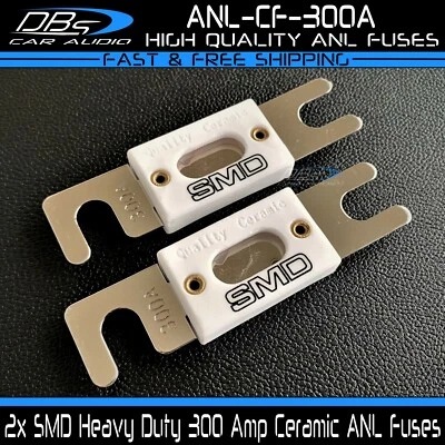 2x SMD 300 Amp Cerámica ANL Fusible 300A Resistente Alta Calidad Fusibles Steve Meade  Foto 1 de 3