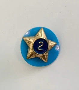 Vintage BSA Cub Scout 2 Year Service Star Pin With Blue Disc Boy Scouts - Picture 1 of 2