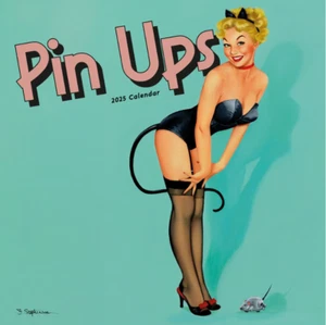 Pin Ups 2025 12 Month Wall Calendar Plastic Free NEW Sealed - Picture 1 of 2