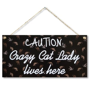 CARISPIBET Caution: Crazy cat lady lives here home decorative sign cat owners - Picture 1 of 6