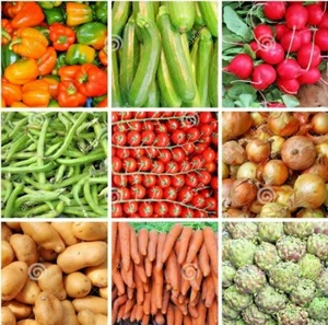 #8 Heirloom Vegetable Seed 6 Variety Garden Set Emergency Survival NON-GMO 150+ - Picture 1 of 12