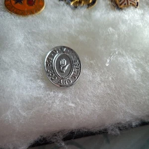 ORIGINAL OLD ULSTER VOLUNTEER FORCE BADGE, UNIONIST 70S UVF. - Picture 1 of 6