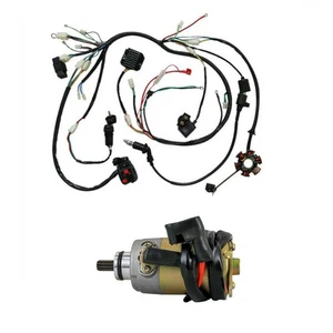 Full Wiring Harness Wire Loom for 125cc 150cc GY6 ATV Go Kart Moped Taotao SUNL - Picture 1 of 10
