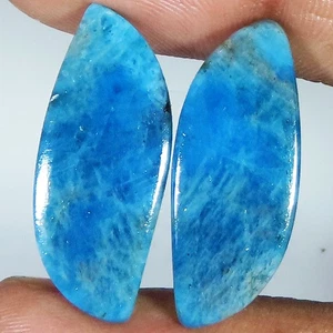 Coppia di apatite blu naturale 24,85 CT 100% cabochon pietre preziose sfuse 11x26x3 mm GQ294 - Foto 1 di 6