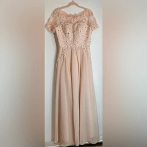 Embroidered Chiffon A-line Short Sleeves Longline Dress Size 8 - Picture 1 of 7