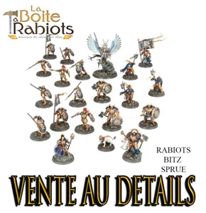 Warhammer Age of Sigmar Dominion Stormcast Vente au détails Rabiots Bitz Sprue - Picture 1 of 24