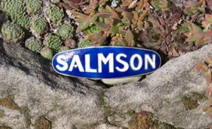 VINTAGE EMAILLE AUTO KÜHLER AUTO EMBLEM / ABZEICHEN # SALMSON FRANKREICH - Bild 1 von 2