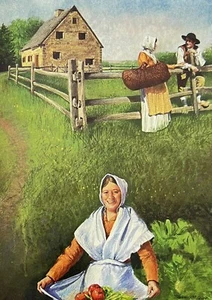 Betty Groff's Up-Home Down-Home Illustrated Cookbook HC 1987 - Picture 1 of 14