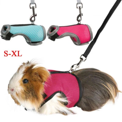 Rattenweste Leinen Set Kleine Heimtierbedarf Brustgurt Kaninchen Harness  - Bild 1 von 4