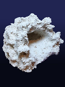 Große Anemonenhöhle liegend Höhle Riff Keramik Meerwasser Dekoration