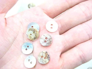 natürliche Muschel Muschel gemacht Knöpfe besonders günstig Knöpfe Nähen Schmuck Zubehör - Bild 1 von 5