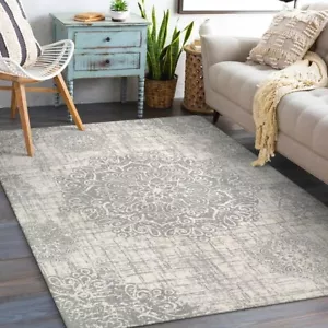 BRAND NEW Lahome Bohemian Floral Medallion Area Rug - 5x7 Grey Oriental Style - Picture 1 of 1