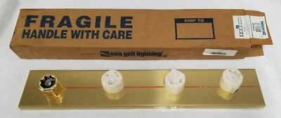 SEA GULL LIGHTING 4738-02 Polished Brass Wall/Bath Vanity Light Fixture Foto 1 de 4