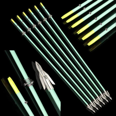 36" Bow Fishing Arrows Night Glow Broadheads Solid Fiberglass Archery Hunting - Image 1 of 4