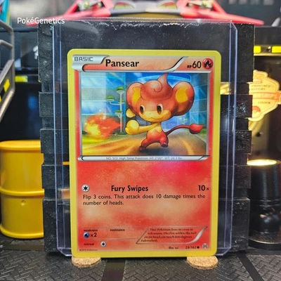 Pansear Breakthrough Pokémon TCG 23/162 XY Common - Image 1 of 4