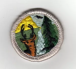 Conservación de Nat. Insignia de mérito tipo G Resources (plata) parte posterior de tela (1969-71) - Imagen 1 de 1