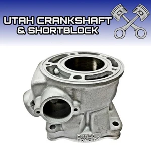 New Plated 1989 Yamaha YZ125W Cylinder 3JD00 YZ 125 W 3JD-11311-00-00 - Picture 1 of 7