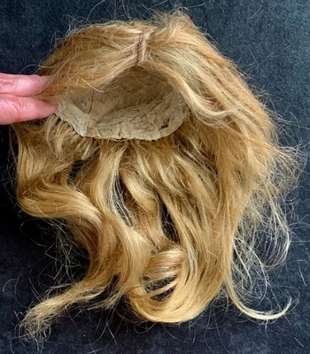 Authentic Antique Human Hair Wig for Bisque Doll Approx. 12.5"  Circumference - Image 1 of 4