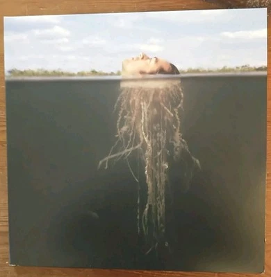 The Mars Volta - De-Loused In The Comatorium, X2 Vinyl LP, Green/Gold, Mint - Image 1 of 4