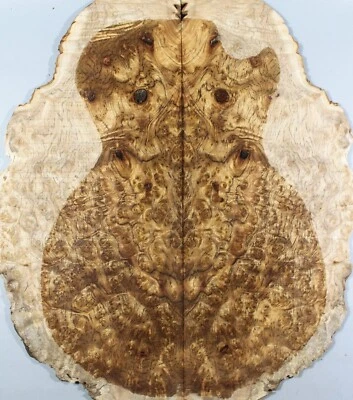 Acoustic Guitar Top 5A Spalted Barky Golden Camphor Wood Burl Set Luthier Supply - Image 1 of 4