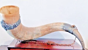 Antikes Prunkhorn um 1900 – Rinderhorn mit Eisenmontur & Maskaron – Historismus - Bild 1 von 21