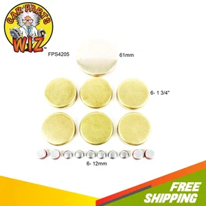 Engine Expansion Plug Kit Fits 61-77 Ford Mercury 300 Caliente 6.4L 16V - Picture 1 of 1